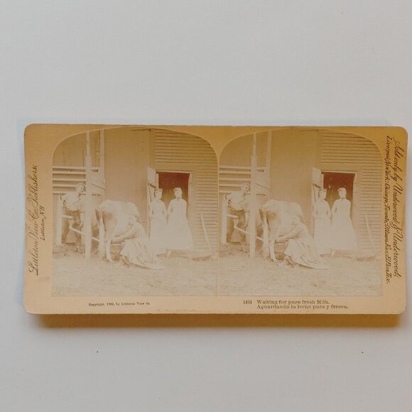 ANTIQUE STEREOGRAPH CARD Farm Scenes "Waiting for pure fresh milk" 1889 - Picture 1 of 5